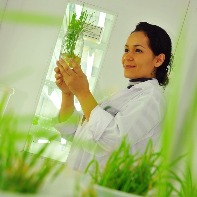 tissue culture lab